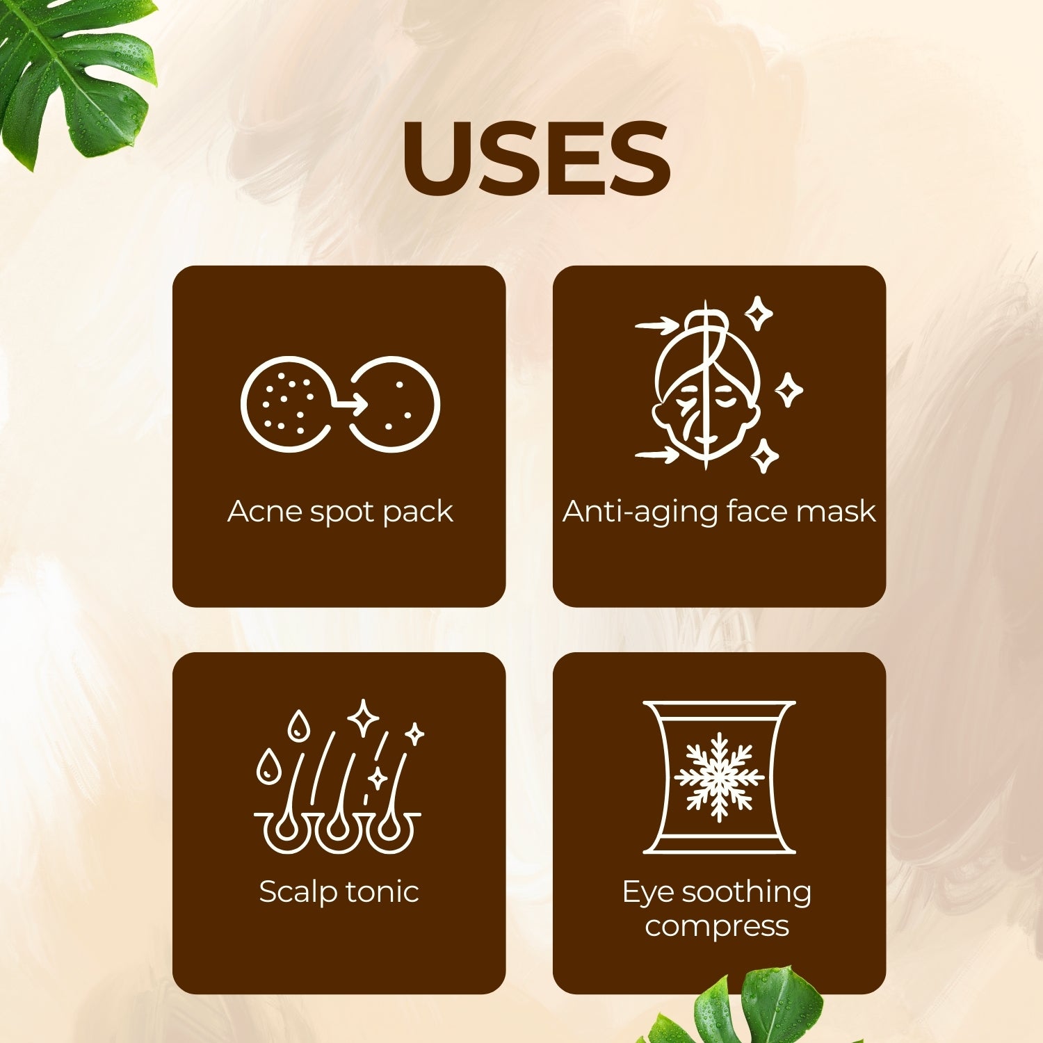 Green Tea Dry Extract Green Tea Dry Extract